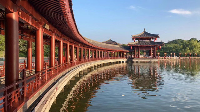 大唐芙蓉园+曲江海洋极地公园+大雁塔北广场一日游【走进大唐盛世,一睹盛唐容颜/打卡海洋世界,畅游蓝色空间】