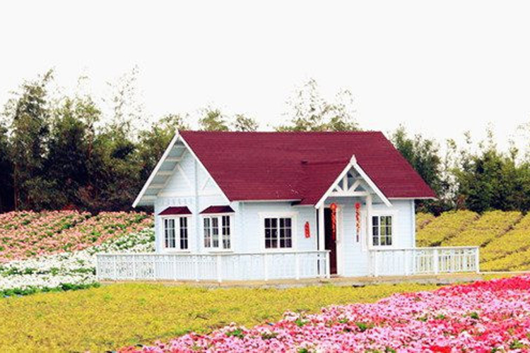 百万葵园旅游