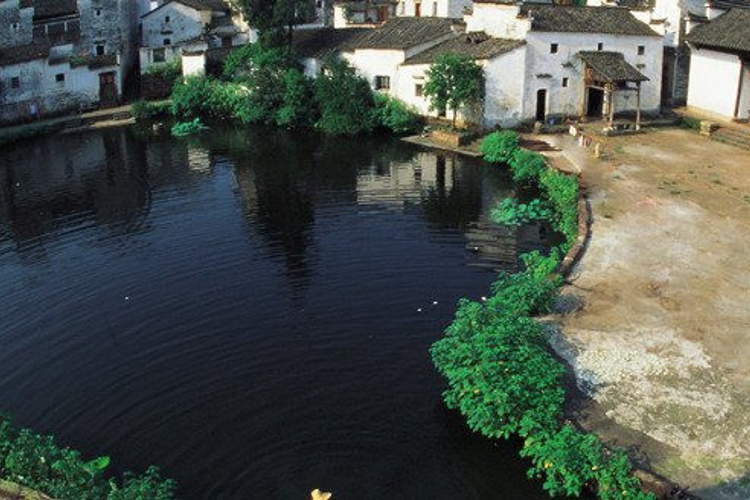 诸葛八卦村旅游
