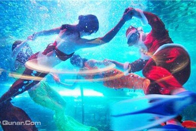 大明湖海底世界旅游