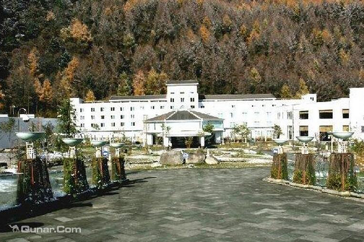 卧龙镇旅游