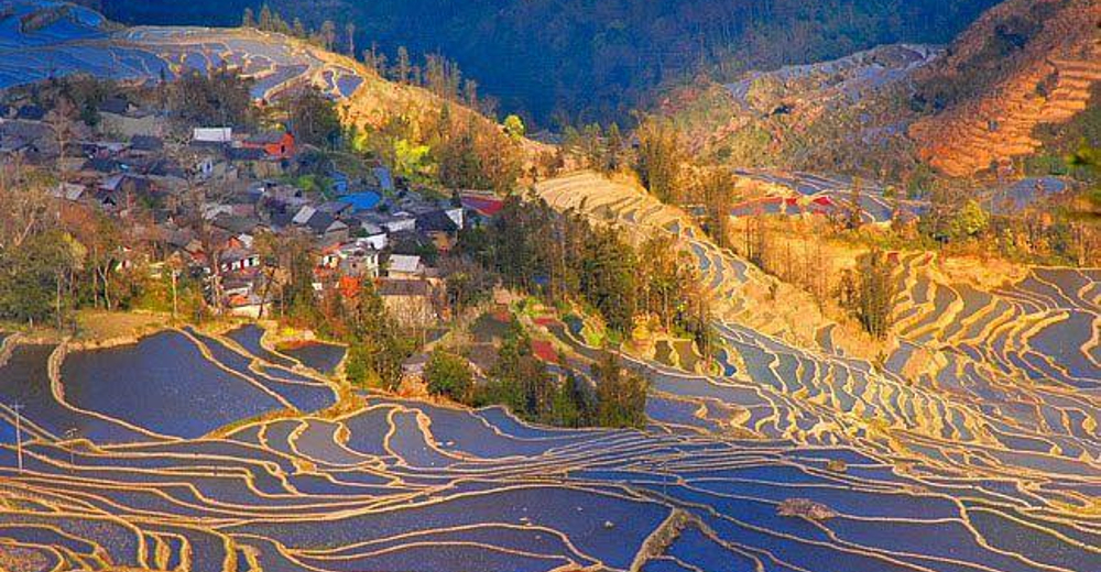 包含景点: 老虎嘴梯田 坝达景区 箐口哈尼族民俗村 多依树梯田 元阳