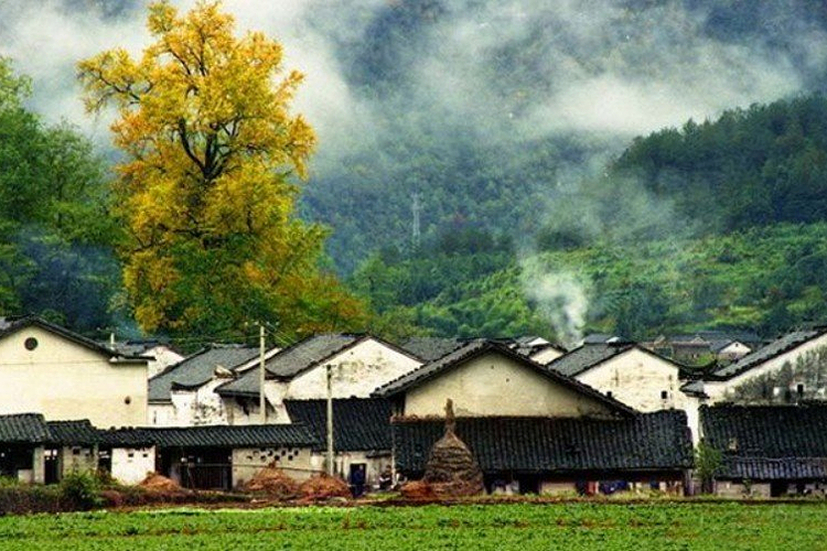 富硒村旅游