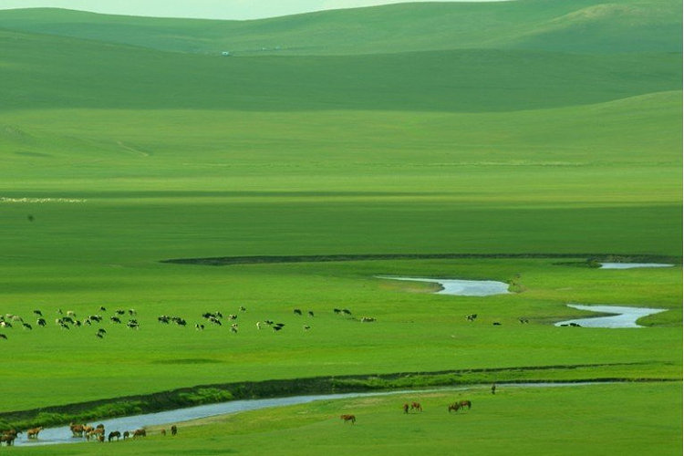 科尔沁大草原旅游