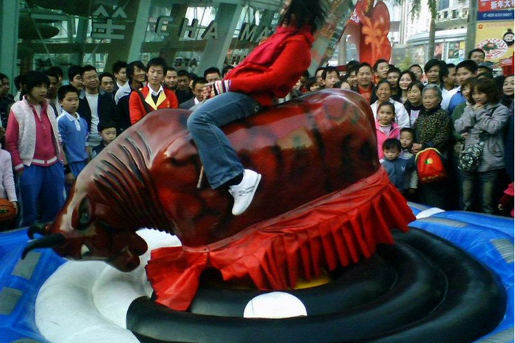 机器狂牛旅游