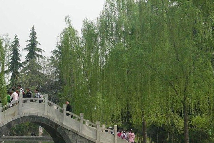 龙凤山公园旅游