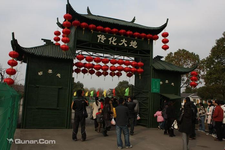 传化大地旅游