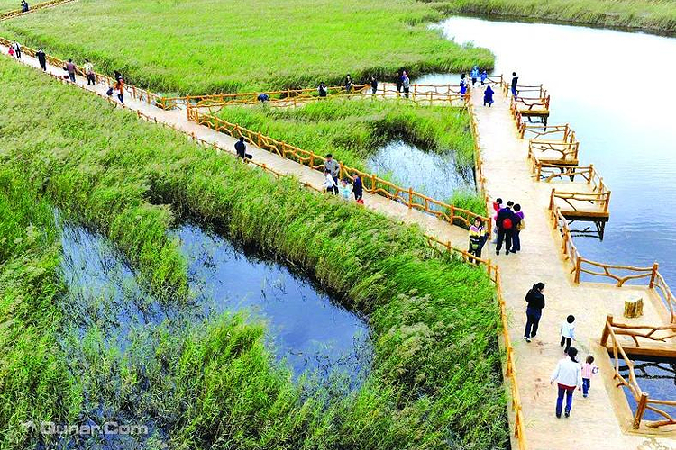 黄河口湿地生态园旅游