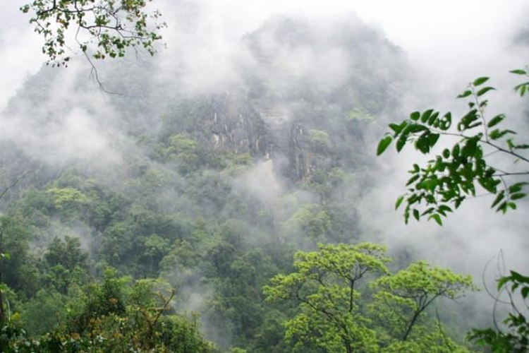 高黎贡山百花岭生态旅游区旅游