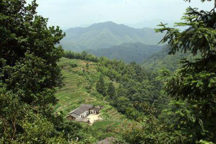 特色烧烤吧旅游