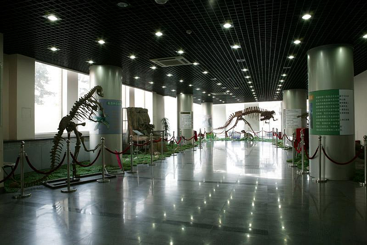 东厅特展展厅旅游
