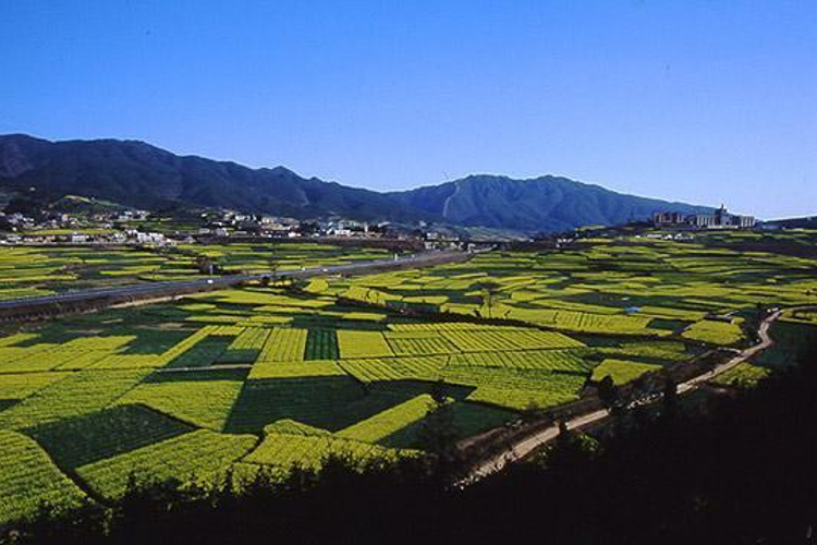 曲陀关旅游