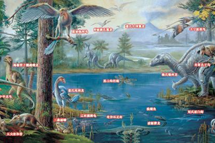 热河生物群旅游
