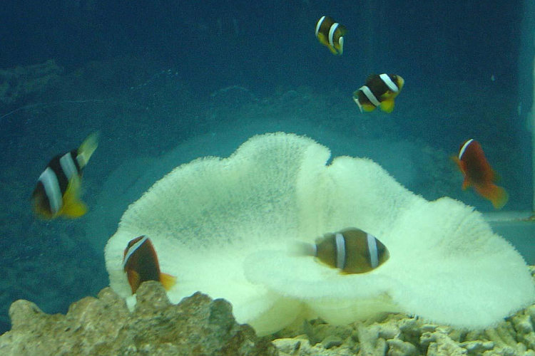 水生生物馆旅游