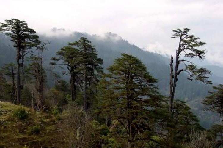 贡嘎峰旅游