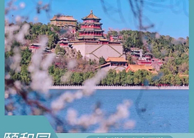 颐和园·圆明园私家团【宫候旅行★亲子出游★名师讲解★预约门票】