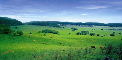 武隆天生三桥+乌江画廊+仙女山森林公园（8人内商务小团/2人就可出团，纯玩0购物，天天发团，市区上门