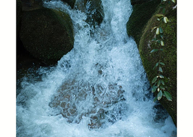武隆天生三桥+乌江画廊+龙水峡地缝（8人内商务小团/2人就可出团，纯玩0购物，天天发团，市区上门接）