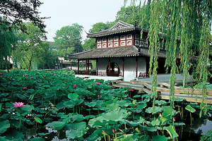 苏州拙政园+平江路历史街区+周庄一日游【纯玩团 双景组合 含游船 知名景点 畅游园林+水乡 让您不虚此行】