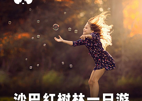 【可订当日|真kawa|多团型可选】 亚庇红树林一日游真kawa萤火虫游艇夕阳亚庇美人鱼岛海龟苑孟河红树林