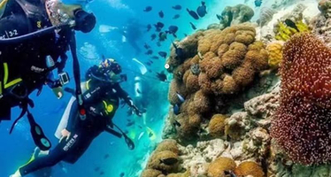 三亚西岛纯玩1日游【打卡综艺+纯玩0购+往返接送】