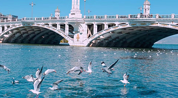 大理兴盛大桥+理想邦+小普陀+双廊+喜洲+洱海生态廊道一日游【8人内商务纯玩团+S湾+酒店免费接送+专业领队】