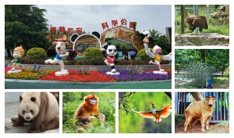 秦岭四宝科学公园一日游【网红明星七仔大熊猫 西安市三环内接送 2人起订精致小团】