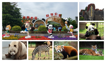 秦岭四宝科学公园+秦岭野生动物园一日游-西安市三环内接送 2人起订天天发团