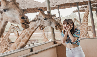 【走近动物世界】曼谷野生动物世界一日游 动物园|海洋公园门票 部分套餐含自助午餐 打卡网红猩猩