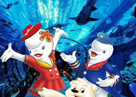 青岛海上观光+八大关+五四广场+小麦岛公园+栈桥一日游【六人小团/海水浴场/可选极地海洋/纯玩】