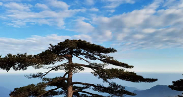 黄山风景区+宏村三日游【黄山北接送•含2晚准4星酒店•纯玩无购物•导游陪同上山•打卡迎客松•徽州画里乡村】