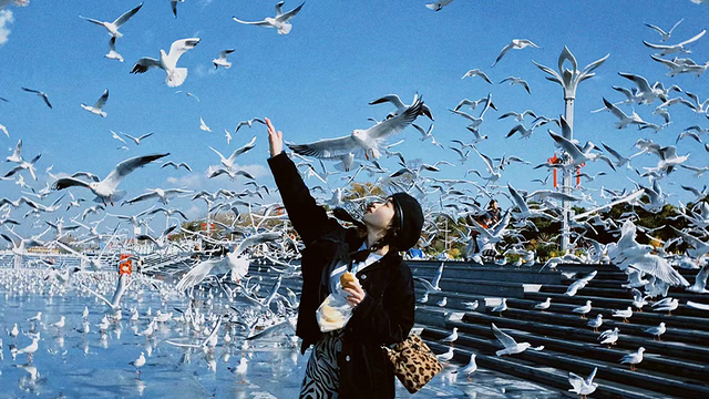 大理洱海游船 上关花索道 大理天龙洞 磻溪村 大理龙马谷一日游【体验