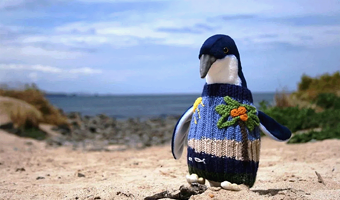 墨尔本普芬比利蒸汽火车+菲利普岛一日游【蒸汽火车（含午餐）/企鹅归巢/中文司导/天天出发】