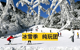 赏雪季·金佛山一日游【8区接驳+纯玩无购物+可选2-8人小团+滑雪一日游】