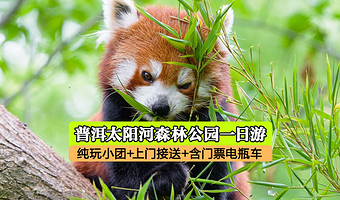 普洱太阳河森林公园一日游【含门票电瓶车+市区接送+精品纯玩团】