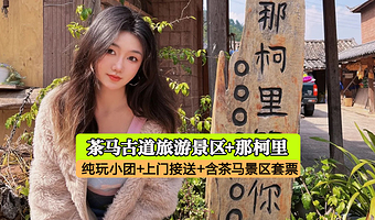 普洱茶马古道旅游景区+那柯里村一日游【含门票电瓶车索道演出+独立出发不拼人+上门接送+纯玩】