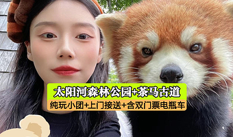 普洱太阳河森林公园+普洱茶马古道旅游景区一日游【含门票电瓶车索道+市区上门接送+纯玩保障】