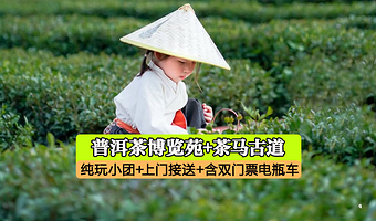 普洱普洱茶马古道旅游景区+中华普洱茶博览苑一日游【含门票电瓶车索道演出+独立出发+上门接送+睡醒出发】