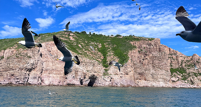林海公园一日游【烟台出发-看黄渤海分界线|纯玩无购物】,一日游门 