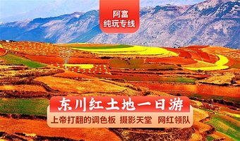 云南东川红土地深度摄影纯玩一日游  二环内上门接+8人内小团