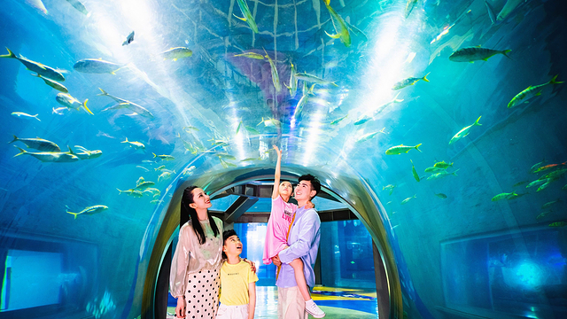 大连旅顺潜艇博物馆四日游【大连旅顺,金石滩,老虎滩海洋公园4日【6