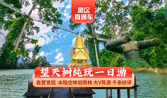 望天树景区一日游【深度纯玩0购物+优选大V导游+多套餐可选+水陆空体验原始雨林 】