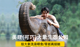 泰国清迈大象营一日游【网红粘粘瀑布|竹筏漂流|大象护理|泰式午餐|丛林飞跃|可选夜间动物园】