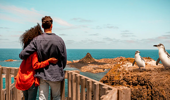 墨尔本普芬比利蒸汽小火车+菲利普岛一日游【明星产品/奔驰小团/企鹅岛/可选彩虹小屋】