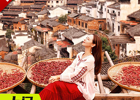 婺源篁岭+李坑+上坦村一日游【6人小团◆上门接送◆纯玩无购物】