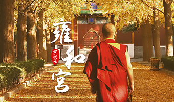 北京雍和宫门票+京状元品牌导游深度讲解