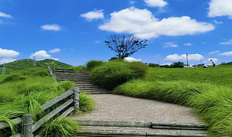 小团·大连3日游·森林动物园+老虎滩海洋公园+旅顺口景区三日游【登顶白玉山+进军港 看港口+军旅体验】