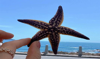 大连金石滩度假区+棒棰岛二日游【帆船出海喂海鸥+体验渔家风情】