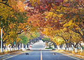 大连旅顺潜艇博物馆+十里黄金海岸二日游【一家一车|行程宽松|轻松游大连参观真实退役的33型潜艇|渔船出海垂钓】