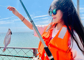 大连棒棰岛+东鸡冠山+十里黄金海岸+老虎滩海洋公园五日游【专车接机/站|经典路线逛遍大连|纯玩无购物|不拼团】